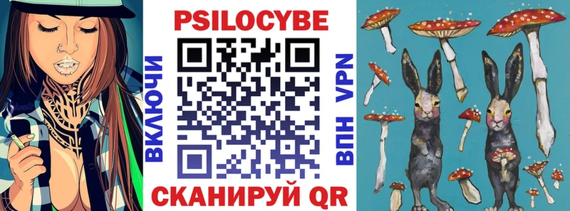 наркошоп  Оса  Псилоцибиновые грибы Psilocybe 
